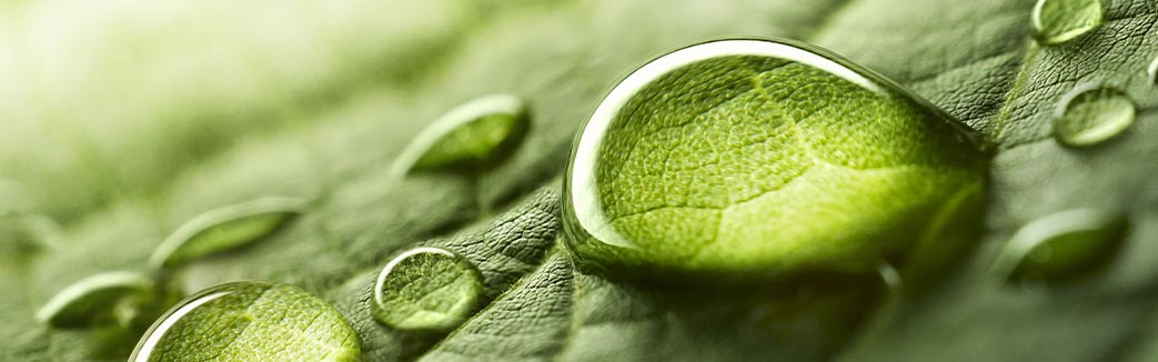 Riesgo en Sistemas de Gesti&oacute;n Bajo Normas ISO