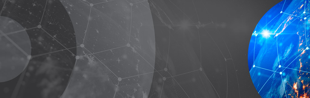 NS Virtual User Conference 2020