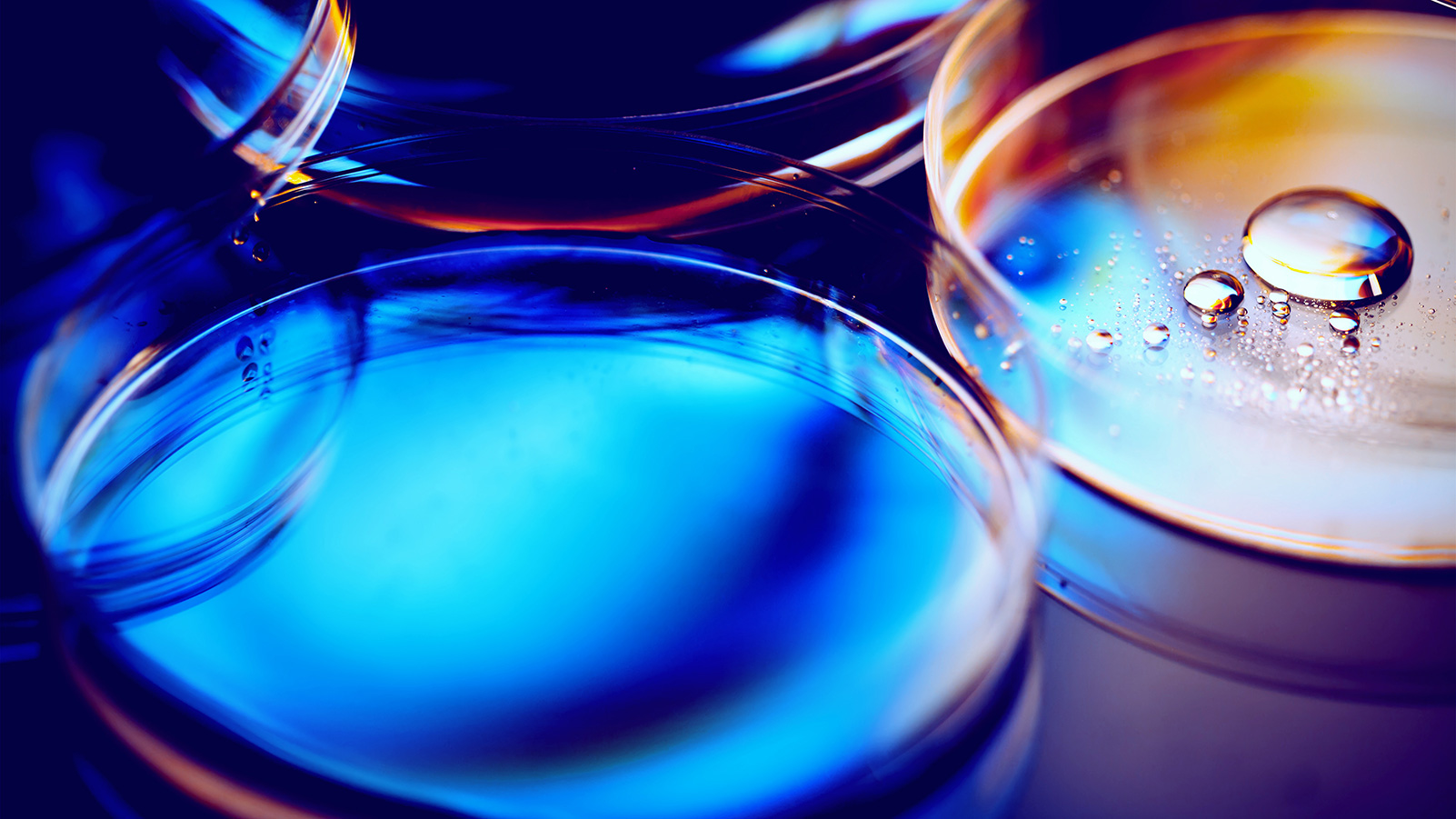 Life Sciences Life Sciences