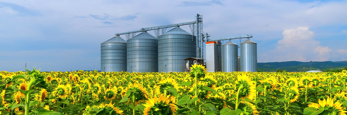 IBM Maximo Implementation Services